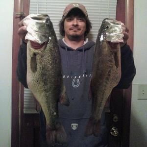 Meet your Posher, Spencer